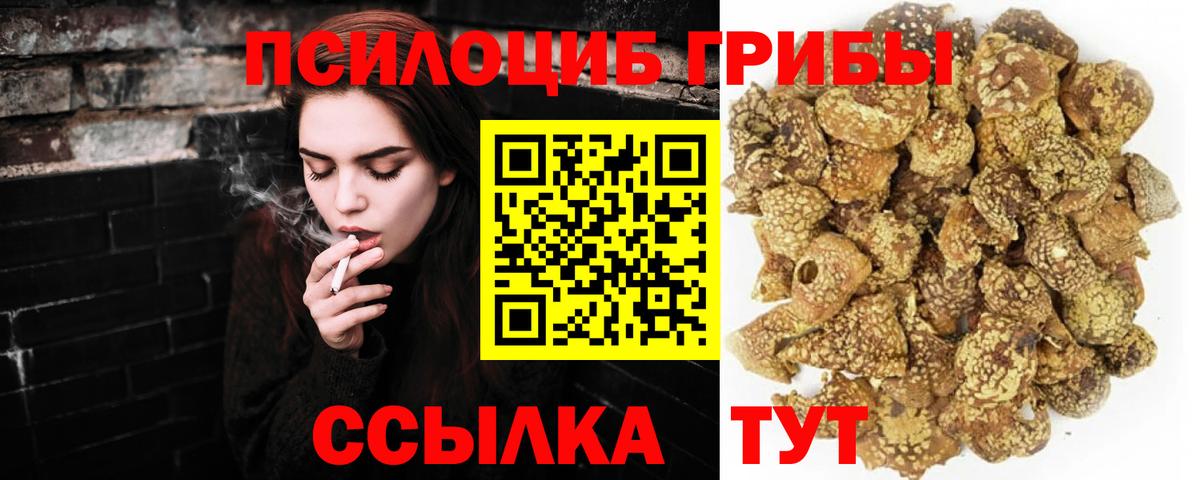 Галлюциногенные грибы MAGIC MUSHROOMS Дзержинск